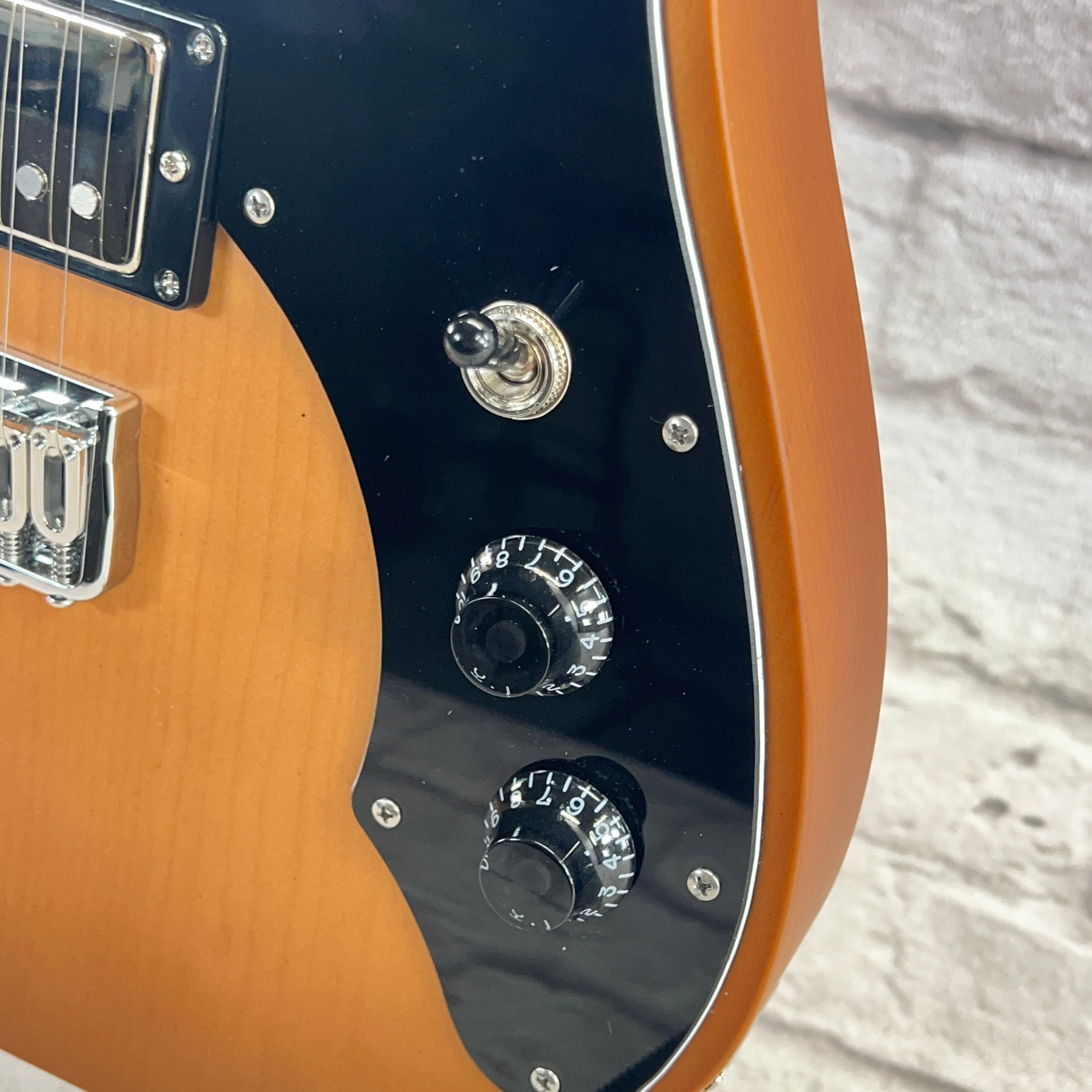 PREORDER: Texas Toast Guitars "Monticola" Daily Driver Semi Hollow