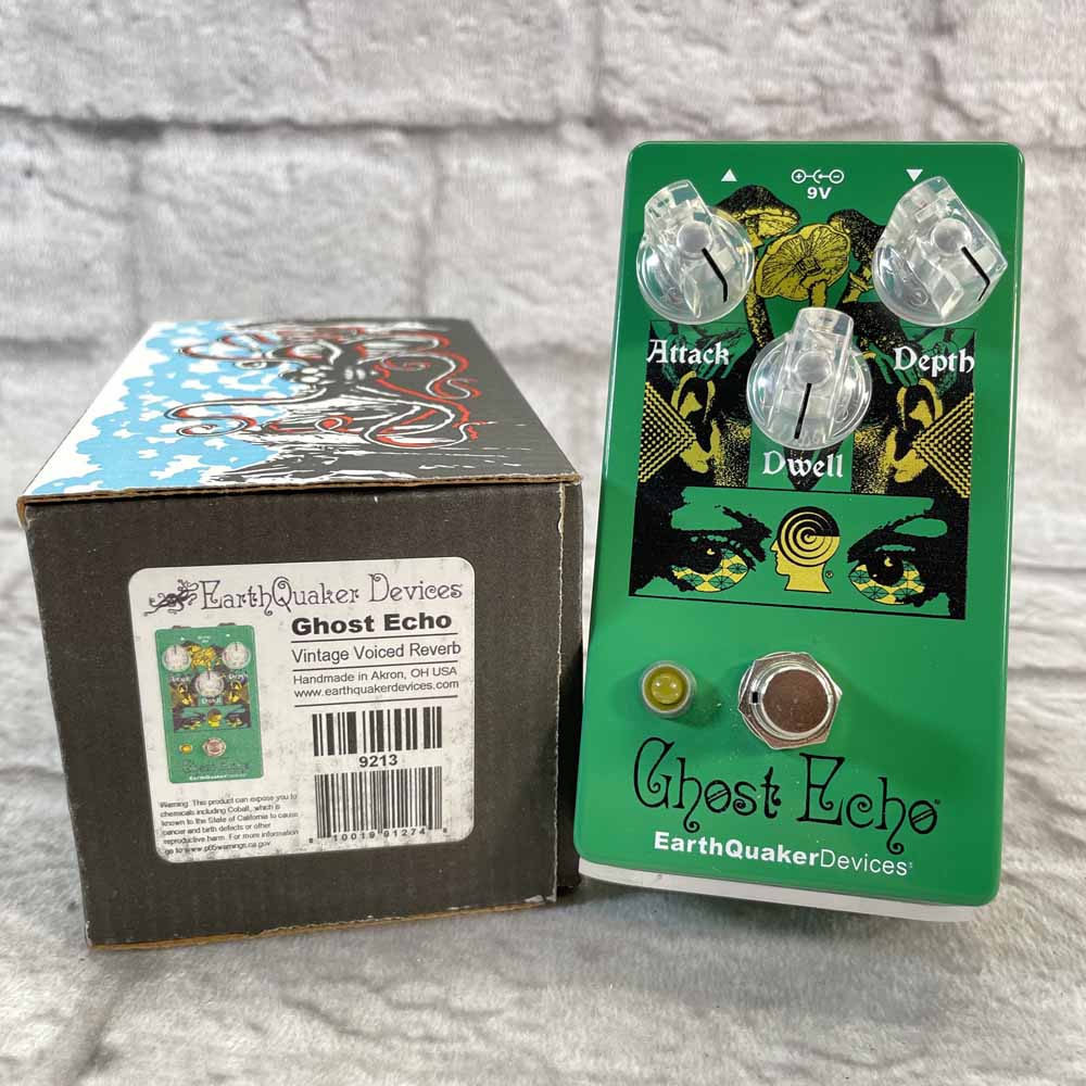 Used:  EarthQuaker Devices Ghost Echo - Limited Edition Brain Dead Design