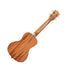 Kala Courage Mahogany Concert Ukulele