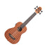 Kala Wanderer Acoustic-Electric U•BASS