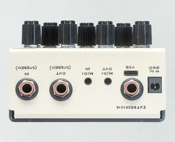 Old Blood Noise Endeavors Black Fountain Oil-Can Stereo Delay Pedal