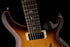 PRS Guitars SE DGT McCarty Tobacco Sunburst - Birds