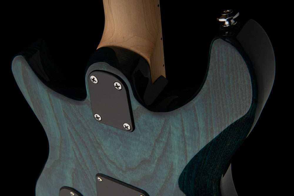 PRS Guitars SE Swamp Ash Special Electric Guitar - Iri Blue