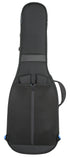 Reunion Blues RB Expedition Electric Guitar Case