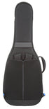 Reunion Blues RB Expedition Small Body Acoustic Case