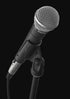 Shure SM58S -  Vocal Microphone