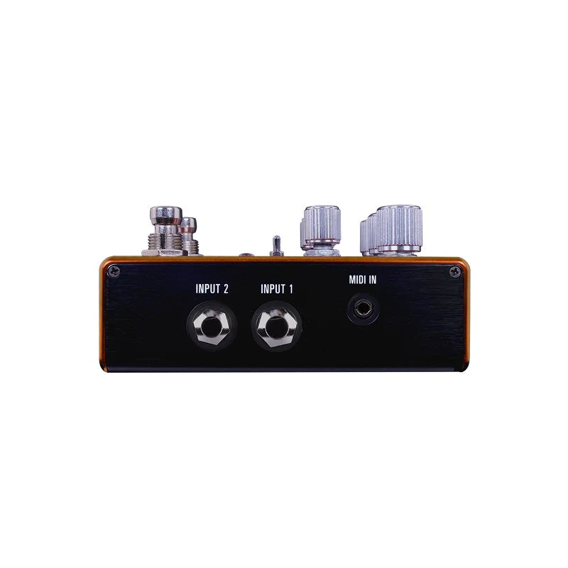 Source Audio Pathways Reverb & Tremolo Pedal
