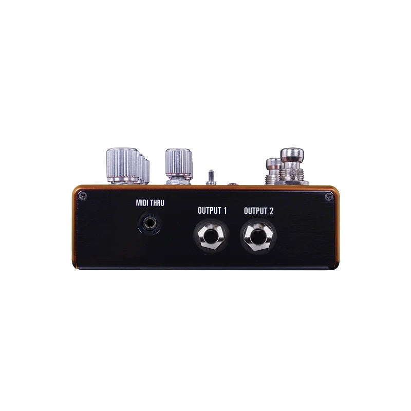 Source Audio Pathways Reverb & Tremolo Pedal