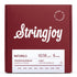 Stringjoy Naturals Light Gauge (10-38) Phosphor Bronze Mandolin Strings