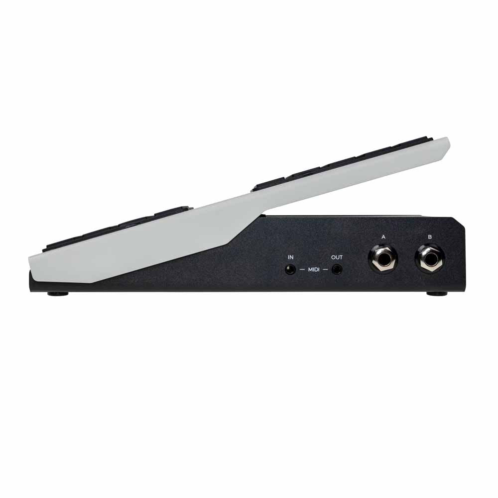 Walrus Audio Canvas Expression Pedal