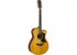 Yamaha AC5R ARE Acoustic-Electric Guitar - Natural