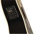 Fender Kingman Acoustic Bass V2