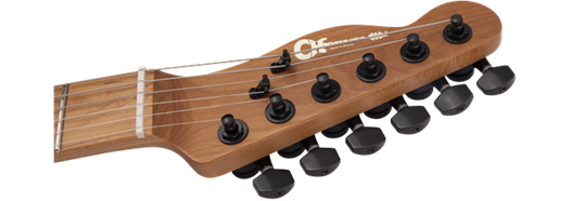 Charvel Guitars Pro-Mod So-Cal Style 2 24 HH 2PT CM in Black Ash