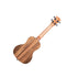 Kala - Pacific Walnut Concert Ukulele