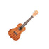 Kala Satin Mahogany Concert Ukulele