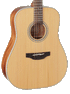 Takamine GD20-NS Dreadnought Acoustic Guitar