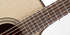 Takamine P2DC Acoustic Guitar