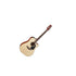 Takamine P2DC Acoustic Guitar