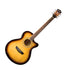 Washburn Guitars Festival EA15 Mini-Jumbo Acoustic/Electric Guitar