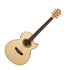 Washburn Guitars Festival Series EA20 Florentine Cutaway Acoustic/Electric Guitar