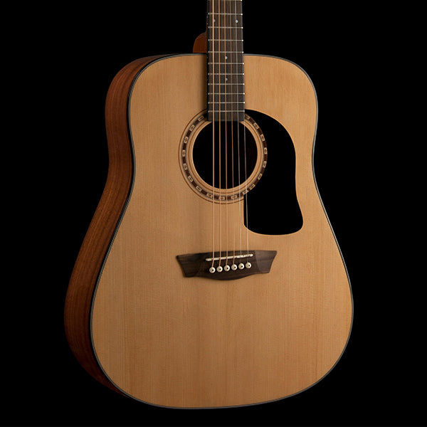 Washburn Guitars Apprentice D5 Acoustic Guitar AD5K-A