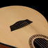 Washburn Apprentice G-Mini 5 Acoustic Guitar