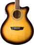 Washburn Guitars Festival EA15 Mini-Jumbo Acoustic/Electric Guitar