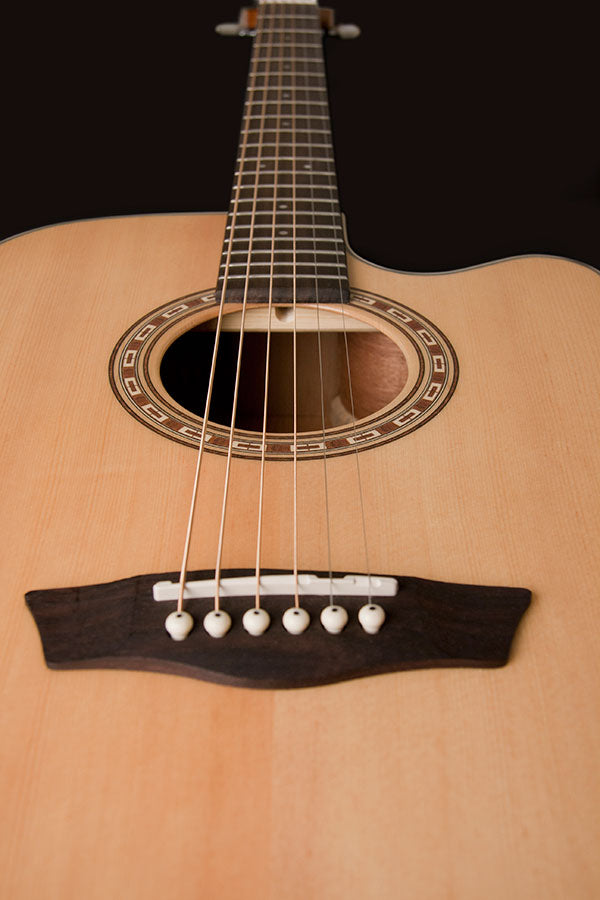 Washburn Guitars Harvest WD7SCE-A Acoustic-Electric Guitar